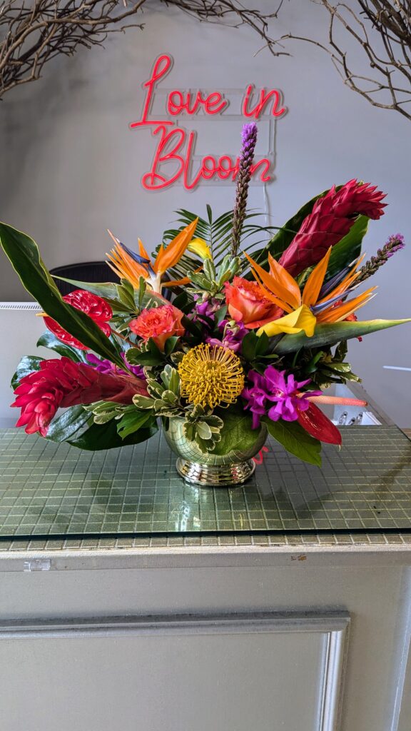 PXL 20240918 152401203 (2)