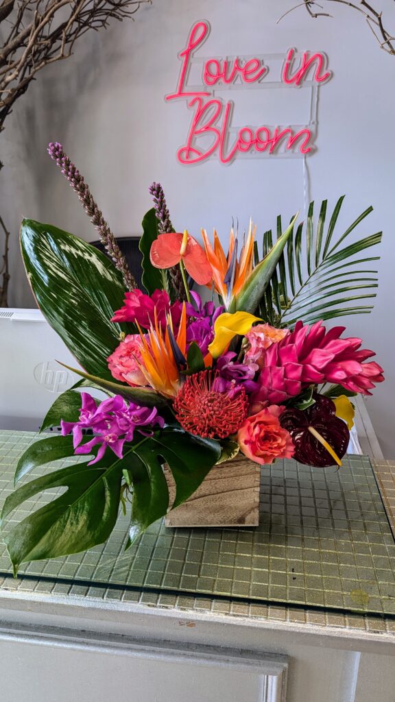 PXL 20240918 155411885 (3)