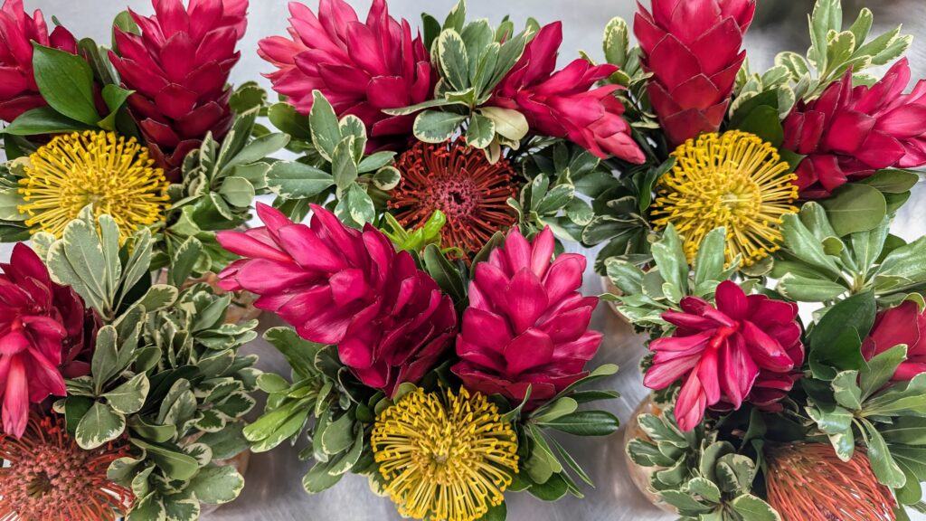 PXL 20240918 155654423