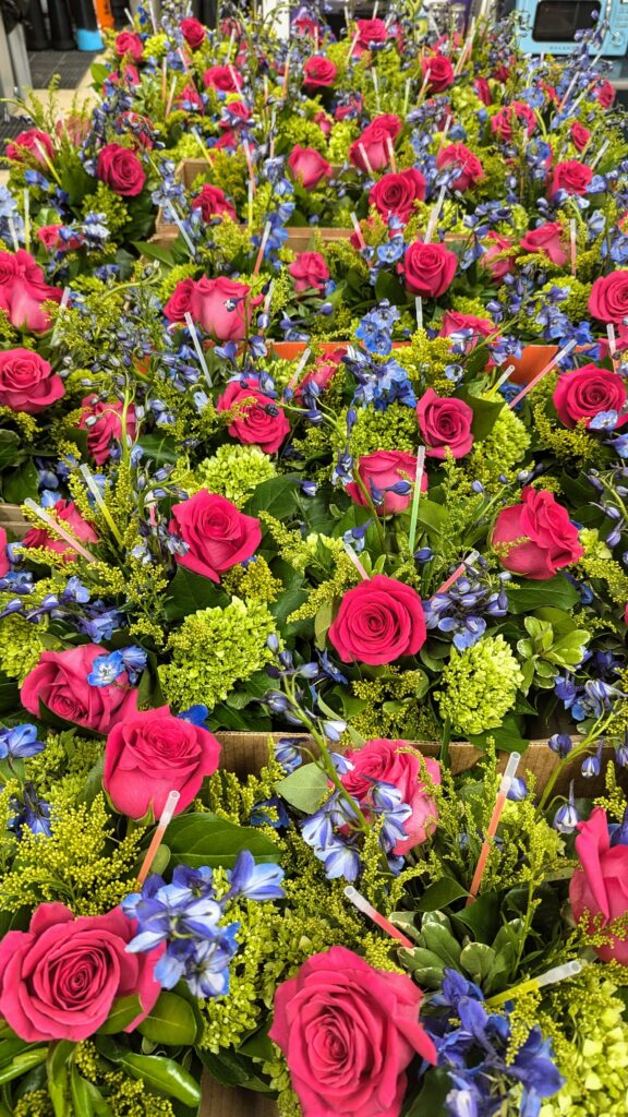 PXL 20241018 182720387.MP