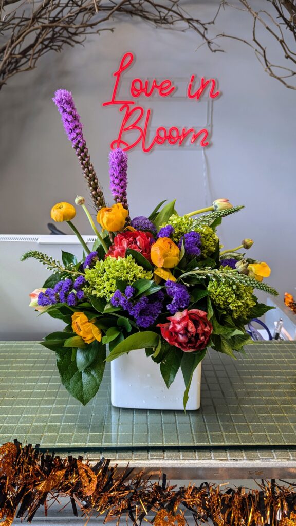 PXL 20241019 150843107.MP (1)