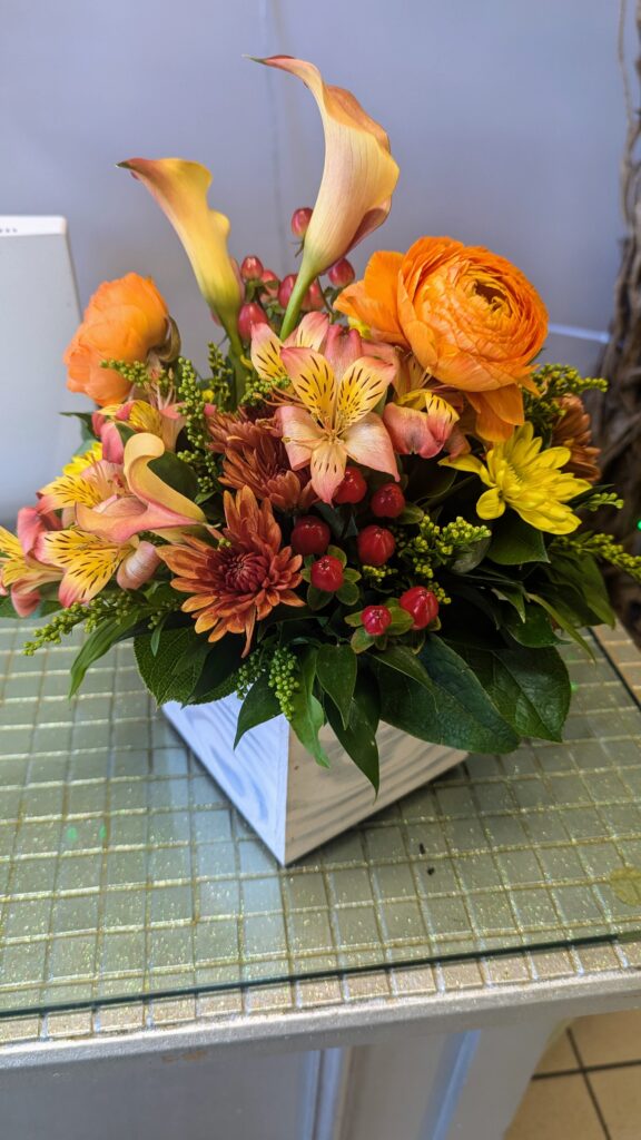 PXL 20241127 152133399 (1)