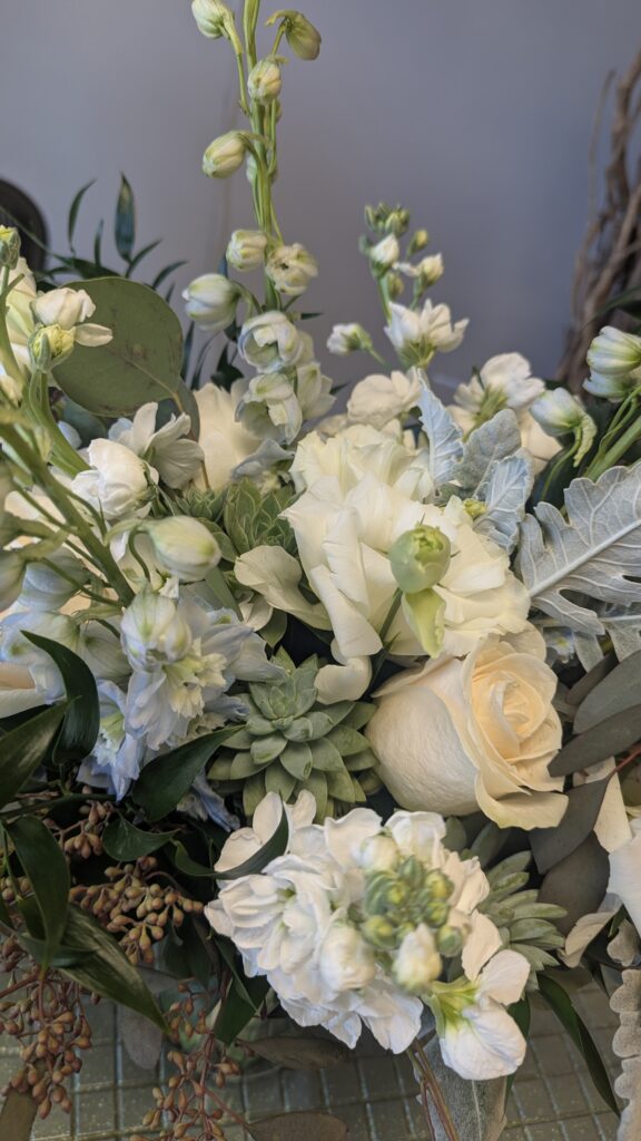 PXL 20250118 152312683.MP