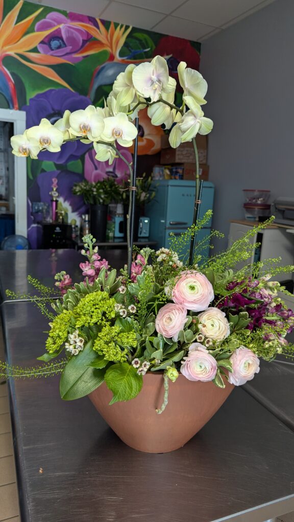 PXL 20250703 173905017.MP (1)