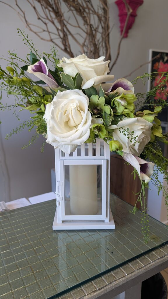 PXL 20251207 151053773