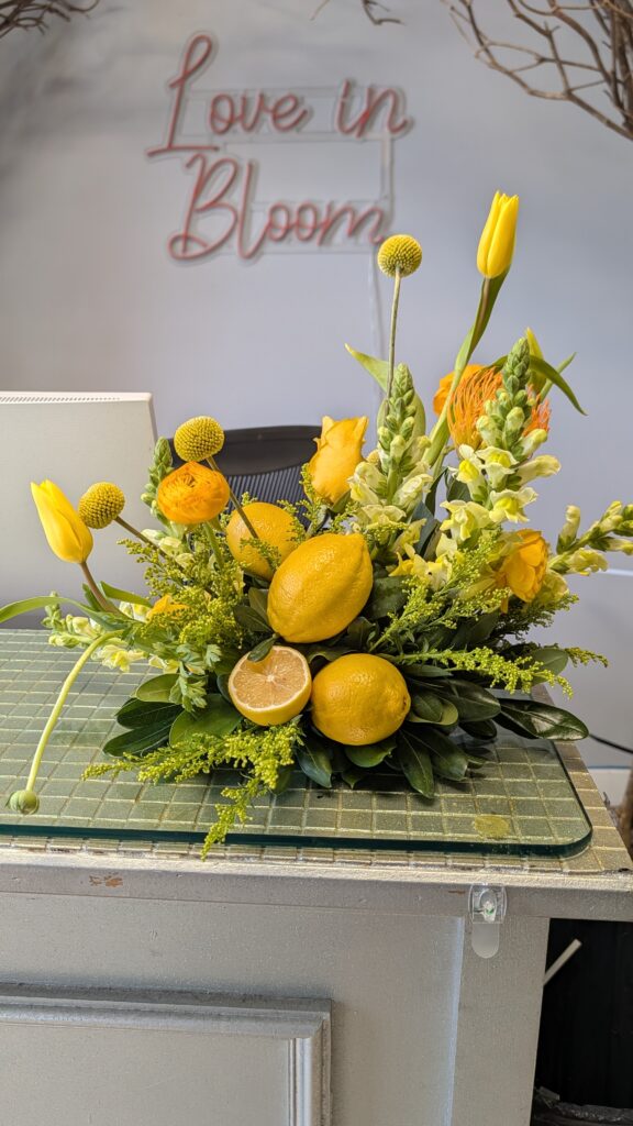 PXL 20260124 143938235